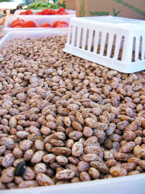 Dried Pinto Beans